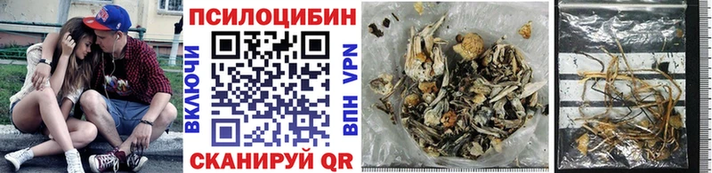 Галлюциногенные грибы Psilocybe  darknet официальный сайт  Новоалександровск 